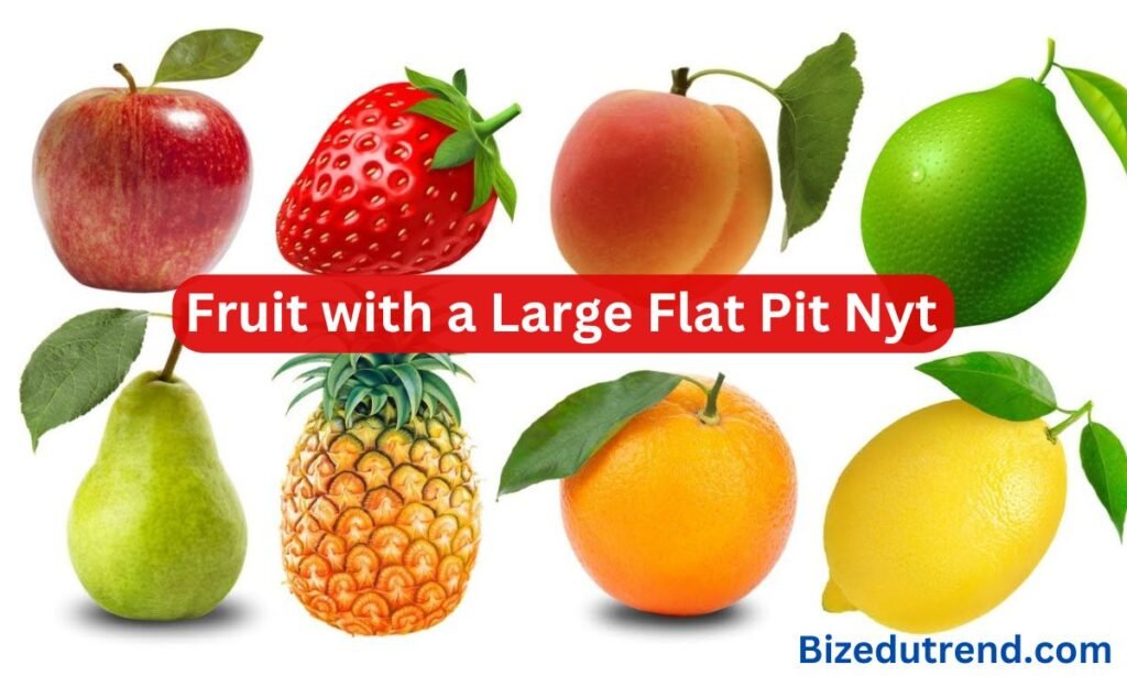 Fruit with a Large Flat Pit